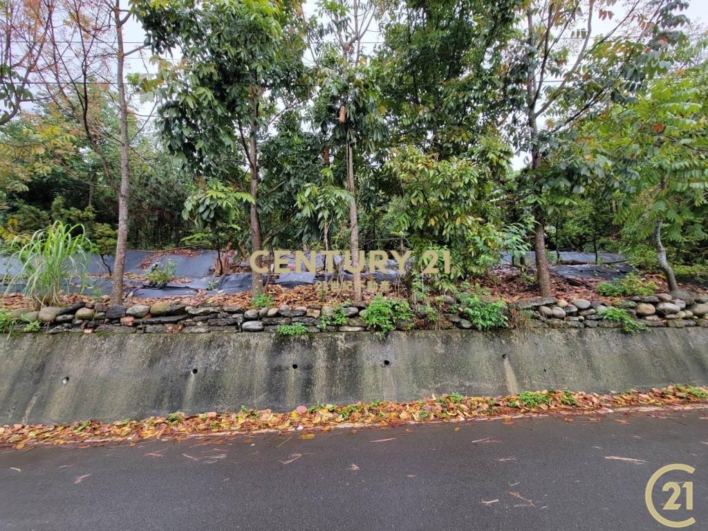 ❤21新豐松林❤豐原葫蘆墩段百坪建地