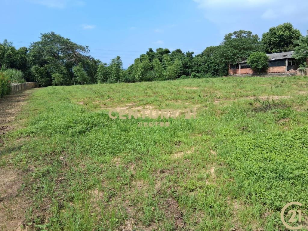 ❤21新豐松林❤新埔美農地