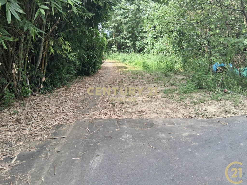 ❤21新豐松林❤新埔美農地