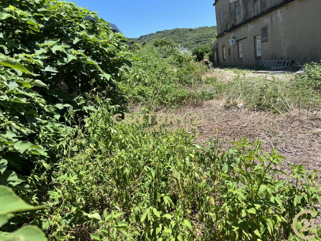 ❤21新豐松林❤鳳岡路旁農地