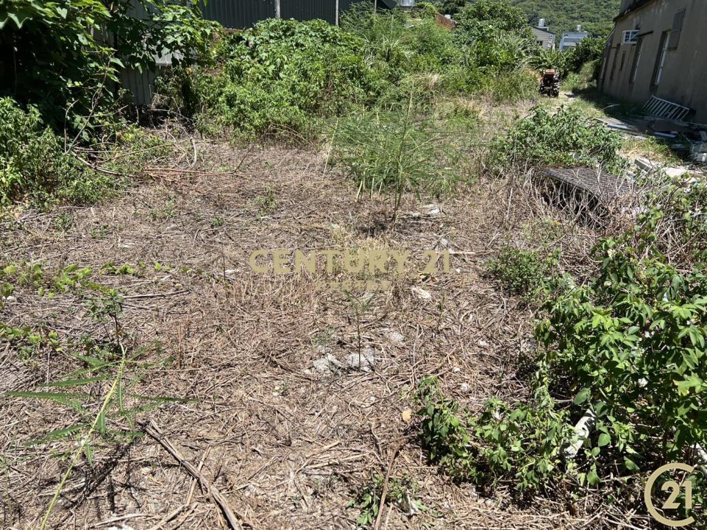 ❤21新豐松林❤鳳岡路旁農地