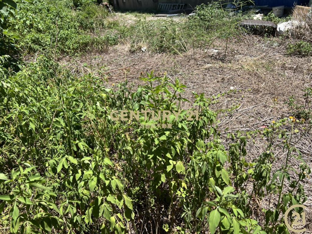 ❤21新豐松林❤鳳岡路旁農地