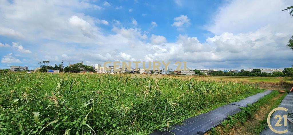 ❤新豐松林❤湖口市區旁合法資材室(1)