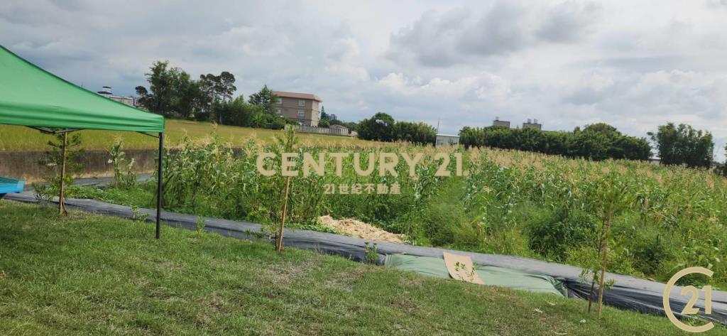 ❤新豐松林❤湖口市區旁合法資材室(1)
