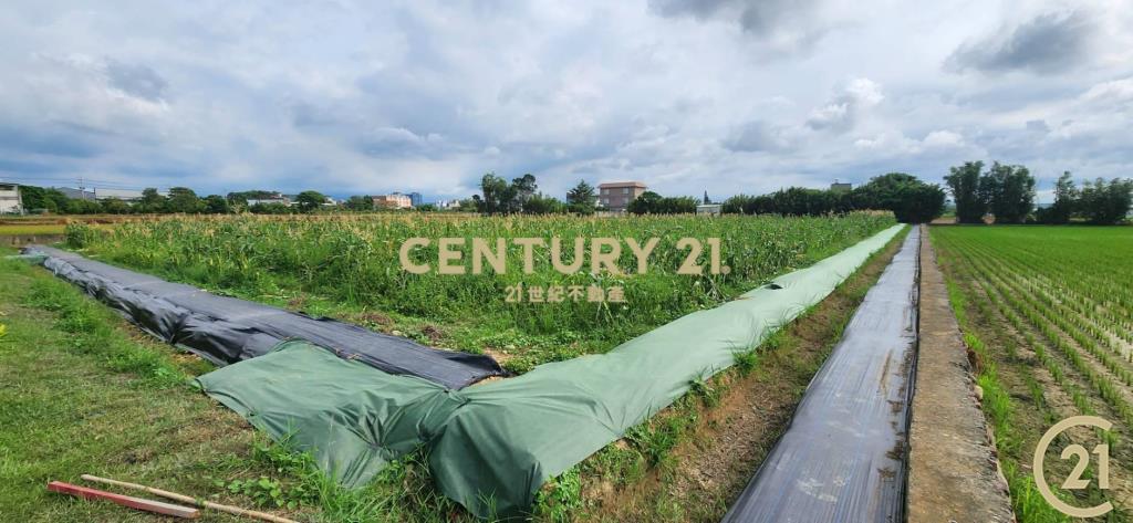 ❤新豐松林❤湖口市區旁合法資材室(2)