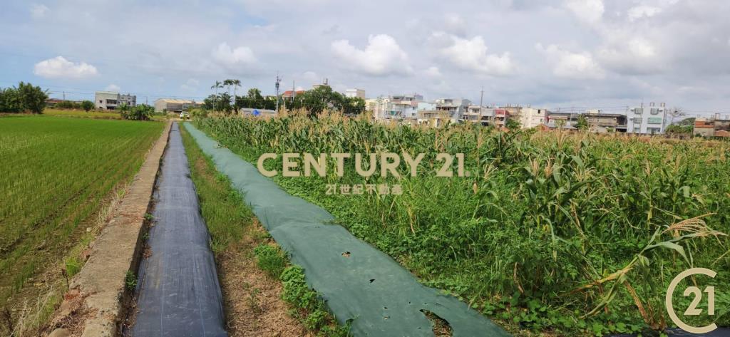 ❤新豐松林❤湖口市區旁合法資材室(2)