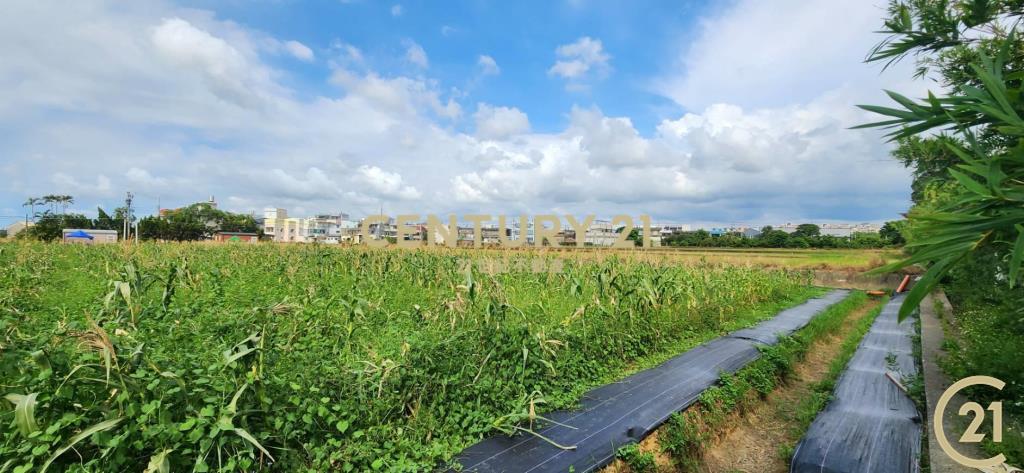 ❤新豐松林❤湖口市區旁合法資材室(2)