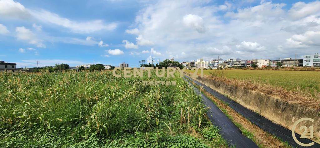 ❤新豐松林❤湖口市區旁合法資材室(2)