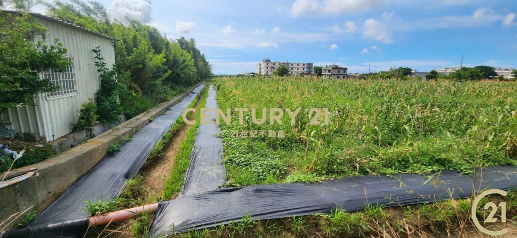 ❤新豐松林❤湖口市區旁合法資材室(2)