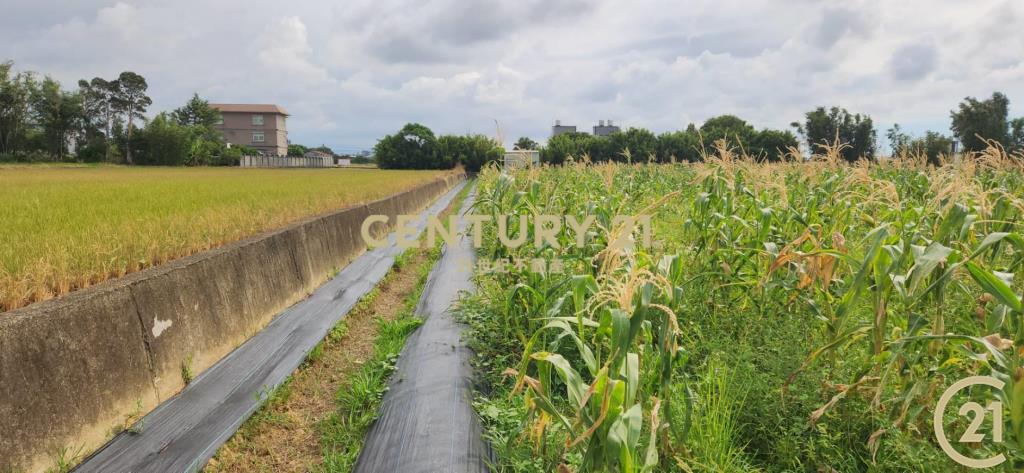 ❤新豐松林❤湖口市區旁合法資材室(2)