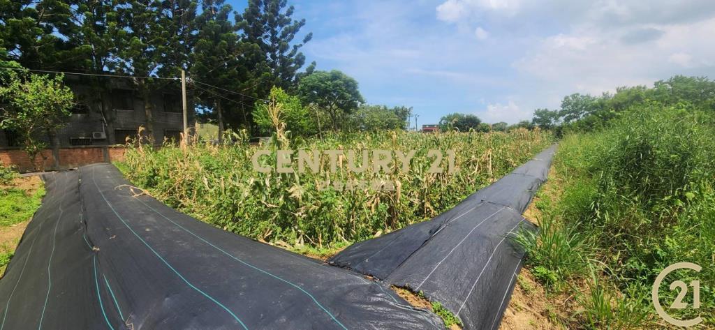 ❤新豐松林❤湖口市區旁合法資材室(3)