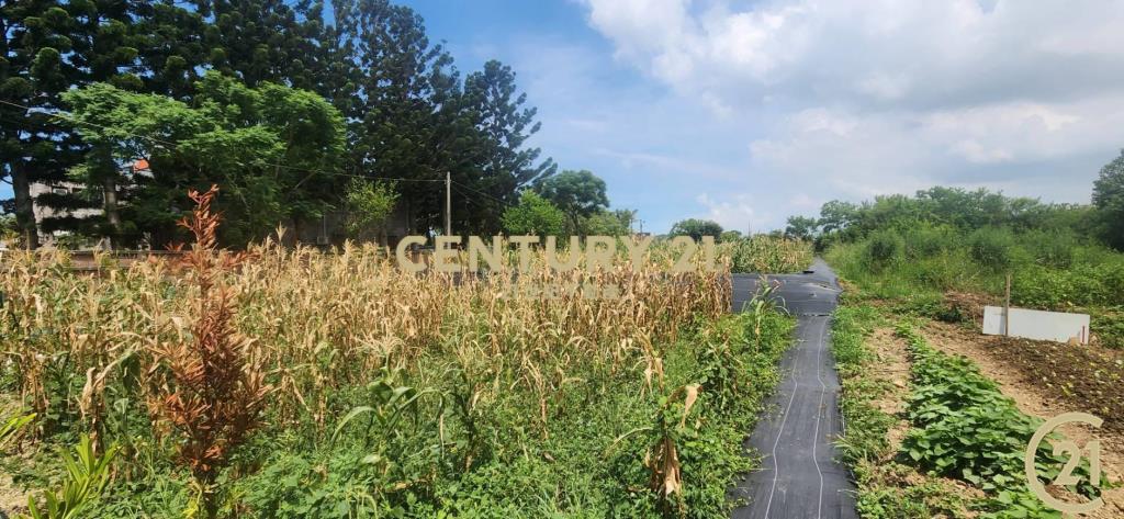 ❤新豐松林❤湖口市區旁合法資材室(3)