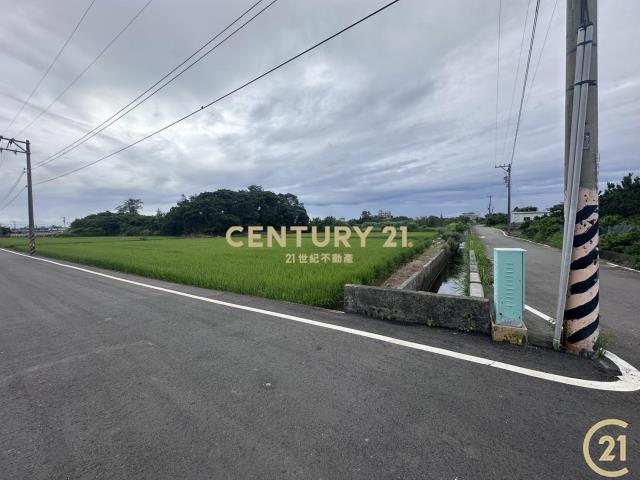 ❤21新豐松林❤坡頭雙面臨路田