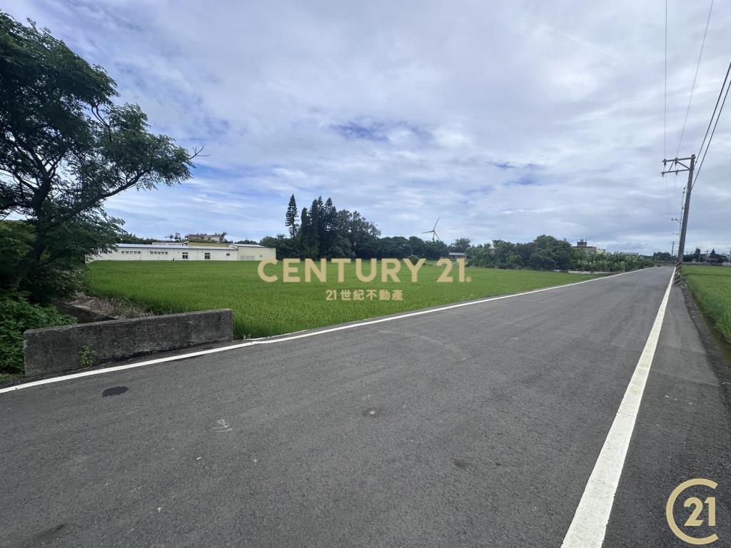 ❤21新豐松林❤坡頭雙面臨路田