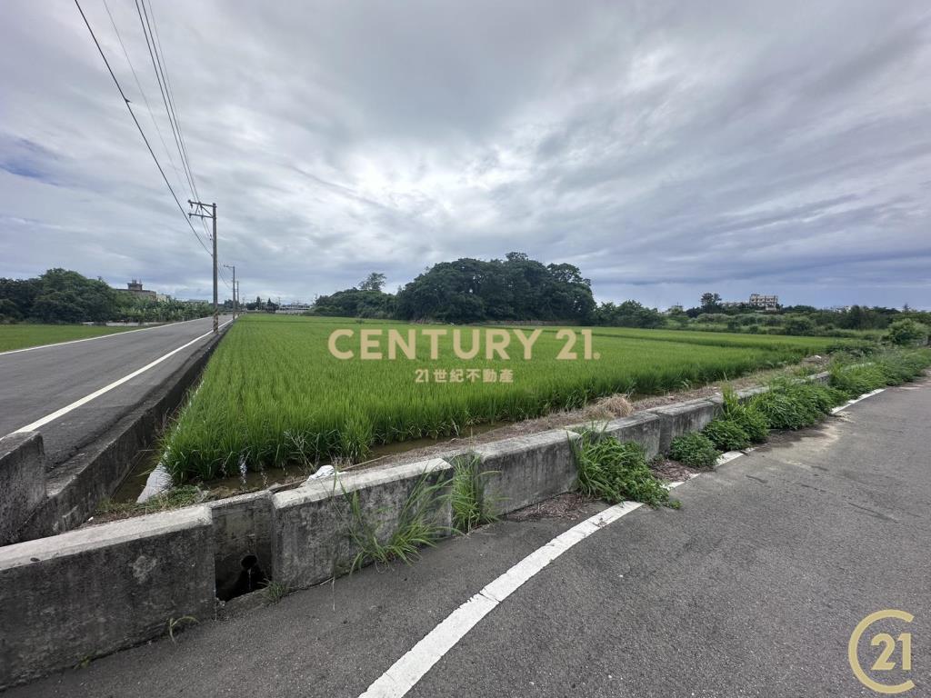 ❤21新豐松林❤坡頭雙面臨路田