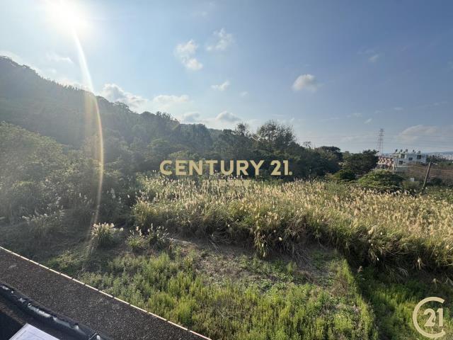 ❤21新豐松林❤新埔內立農地