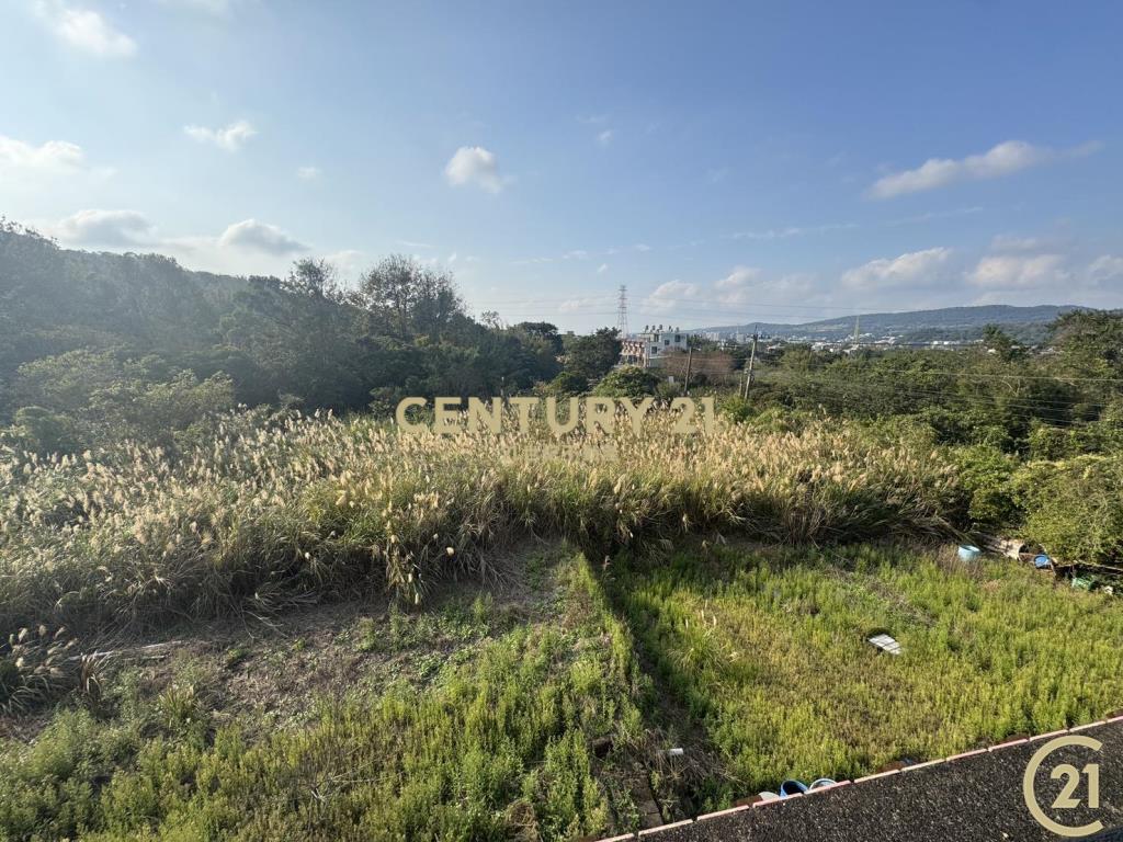 ❤21新豐松林❤新埔內立農地