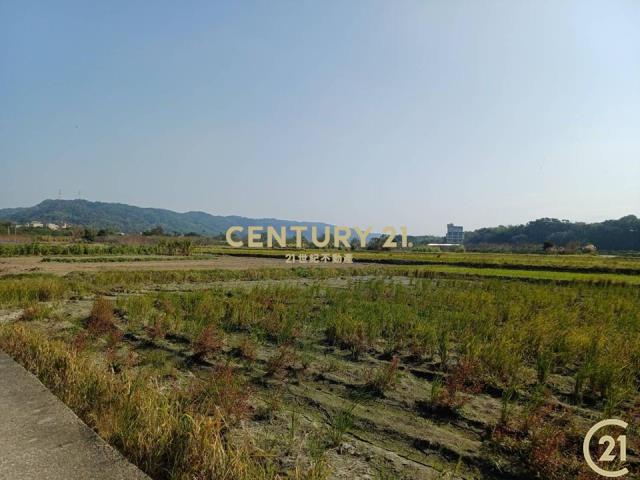 ❤21新豐松林❤新埔美田