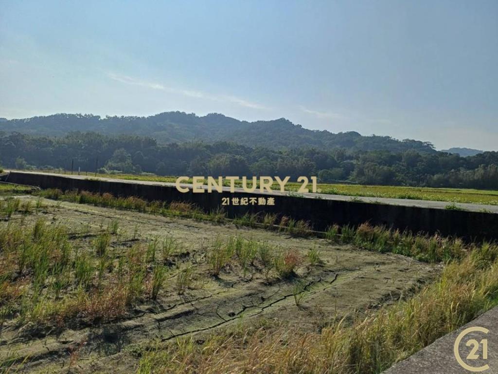 ❤21新豐松林❤新埔美田