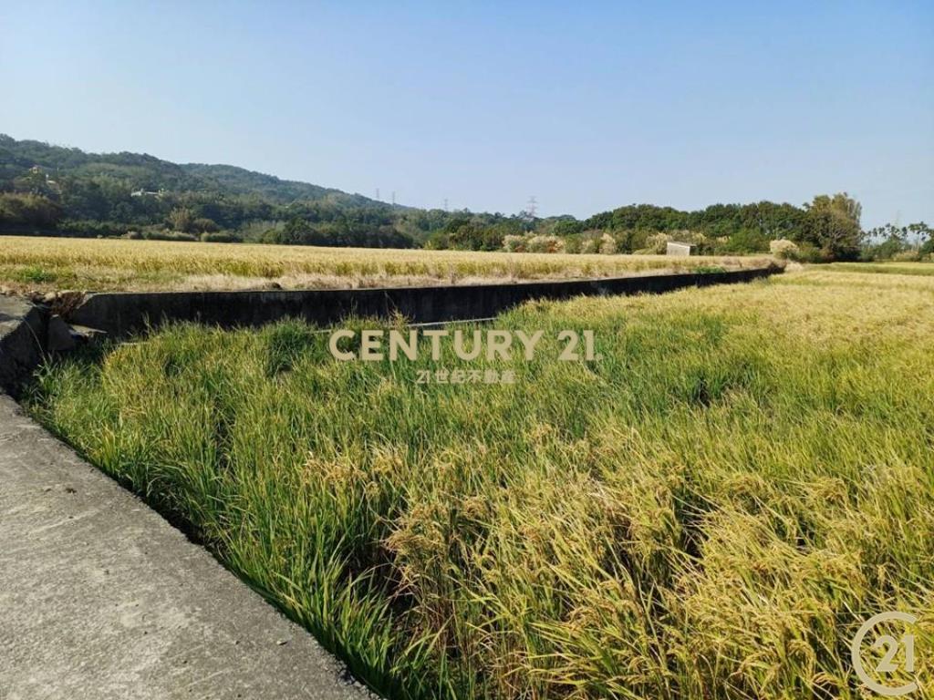 ❤21新豐松林❤新埔美田