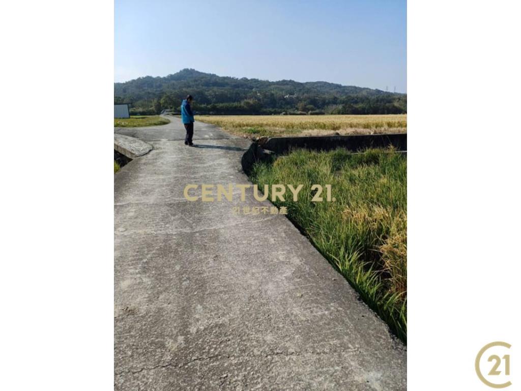 ❤21新豐松林❤新埔美田