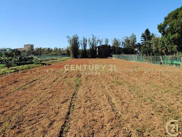 ❤新豐松林❤有農證資材室(清文路12米)