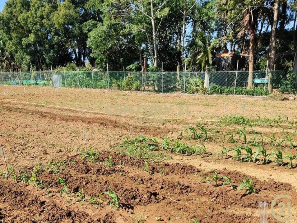 ❤新豐松林❤有農證資材室(清文路12米)