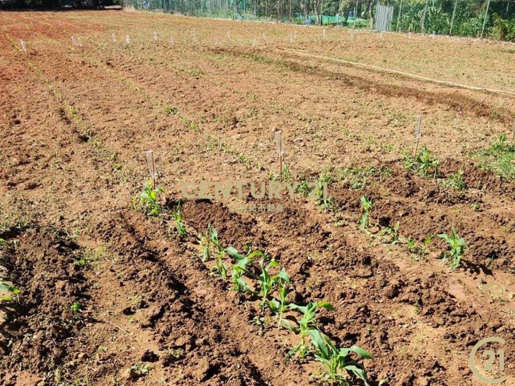 ❤新豐松林❤有農證資材室(清文路12米)