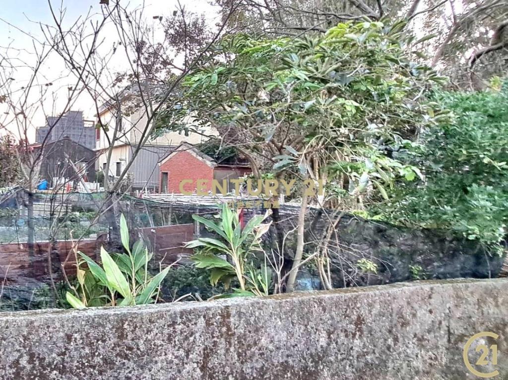 ❤21新豐松林❤啟文國小建地