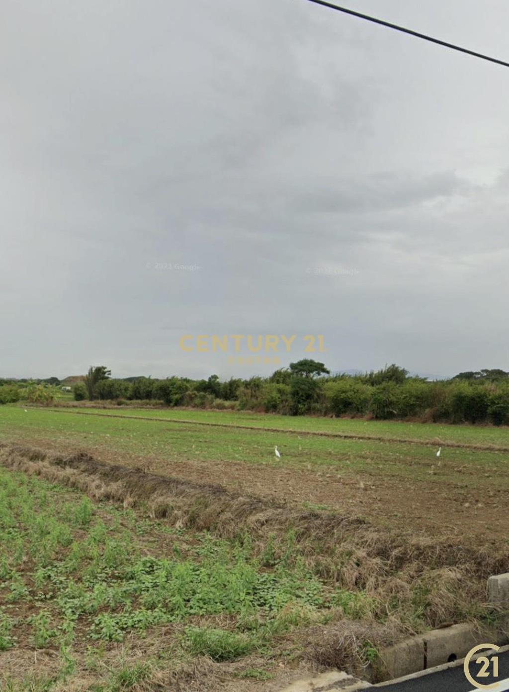 ❤21新豐松林❤新豐方正農