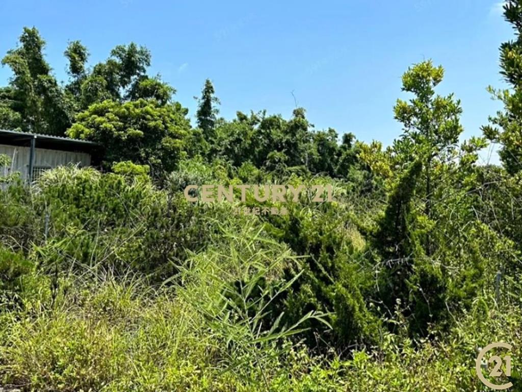 ❤21新豐松林❤新豐中崙美農地