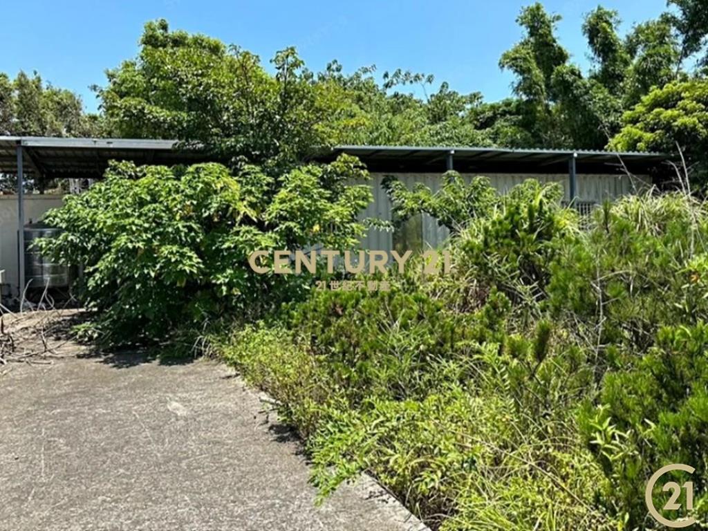 ❤21新豐松林❤新豐中崙美農地