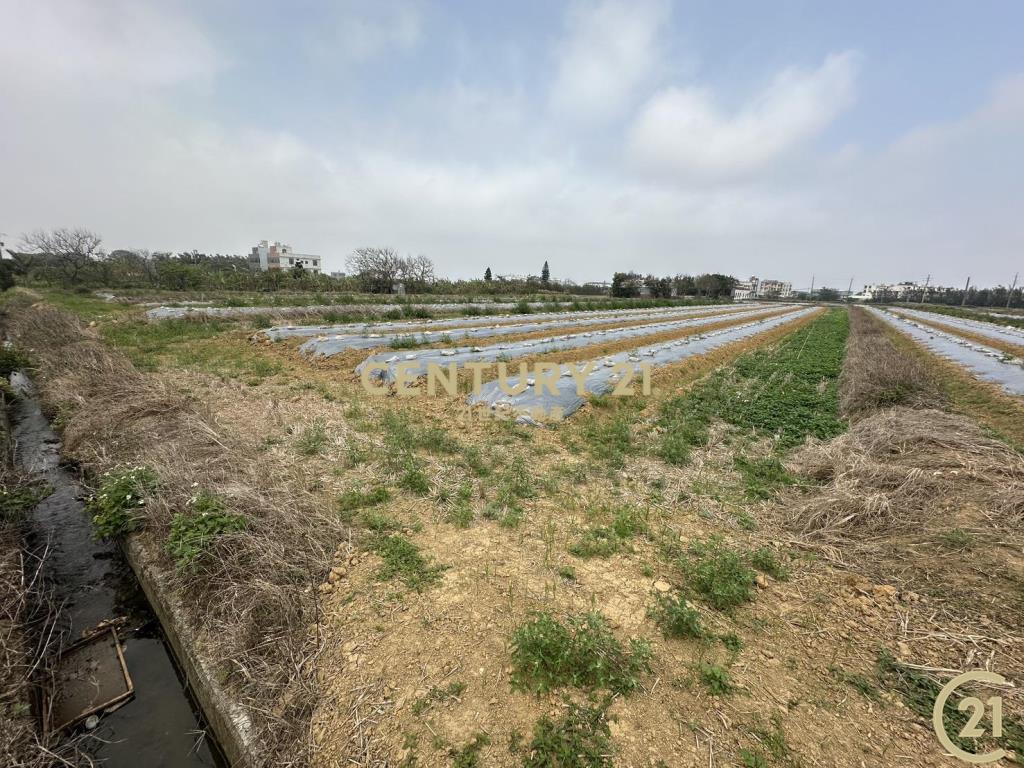 ❤21新豐松林❤和興美田