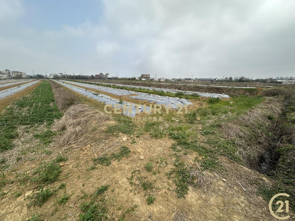 ❤21新豐松林❤和興美田