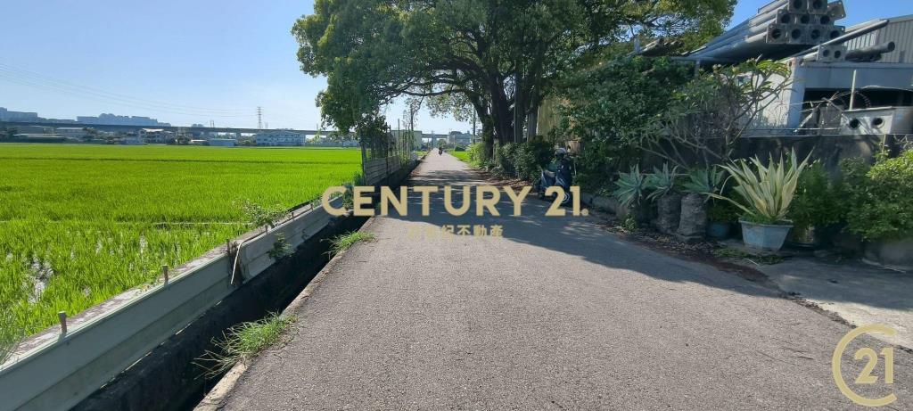 ❤21新豐松林❤新埔義民美農地