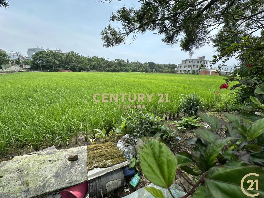 ❤21新豐松林❤湖新段雙面臨路角田