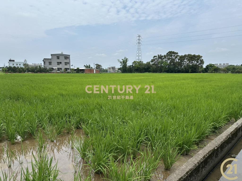 ❤21新豐松林❤湖新段雙面臨路角田