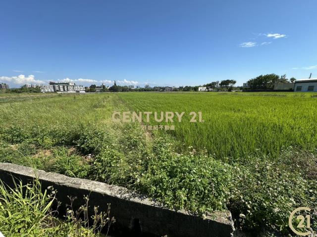 ❤21新豐松林❤湖口德和路美農地