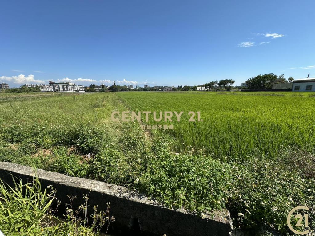❤21新豐松林❤湖口德和路美農地