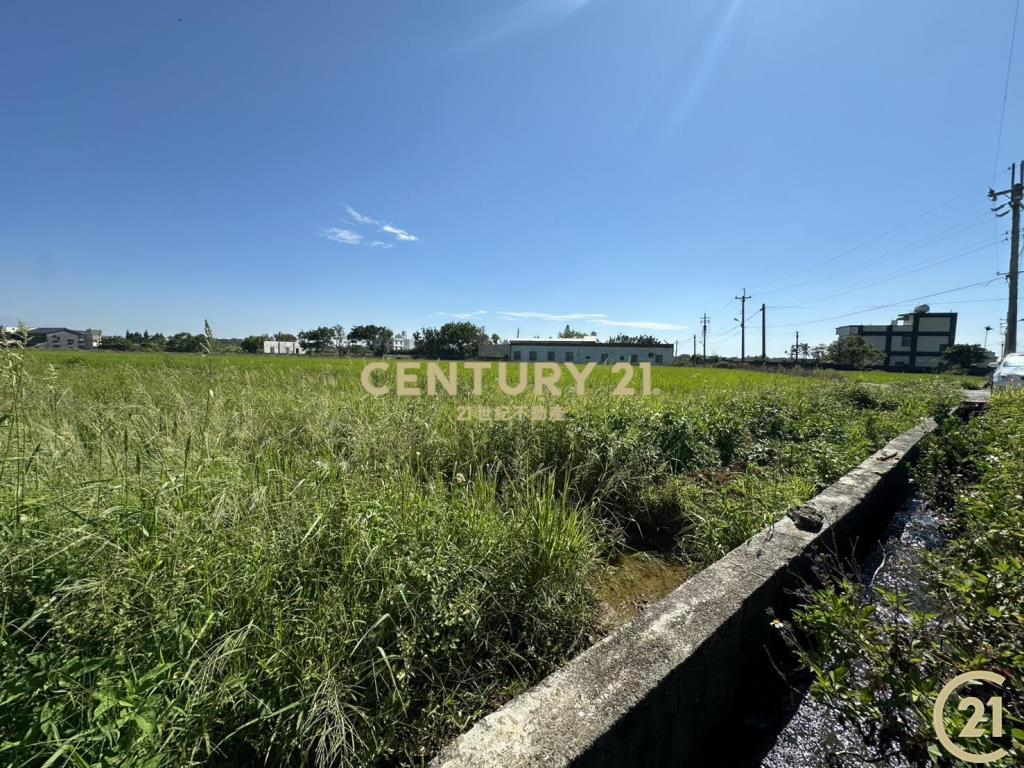 ❤21新豐松林❤湖口德和路美農地