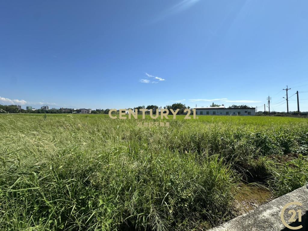 ❤21新豐松林❤湖口德和路美農地