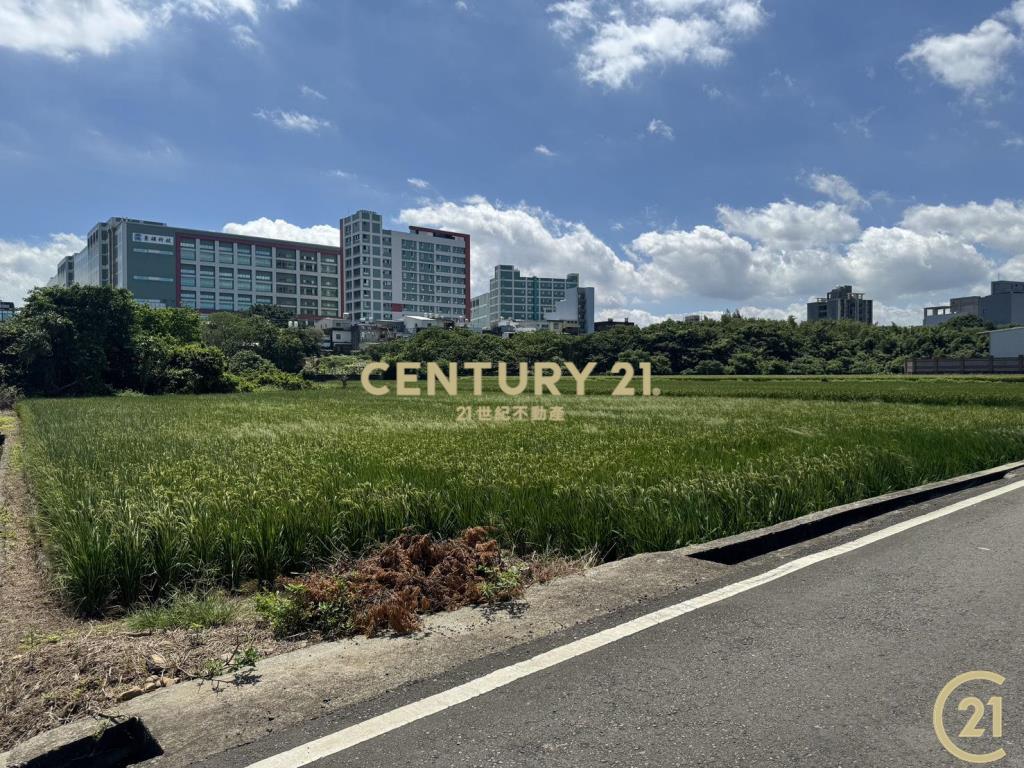❤21新豐松林❤新豐景碩科技旁美農地