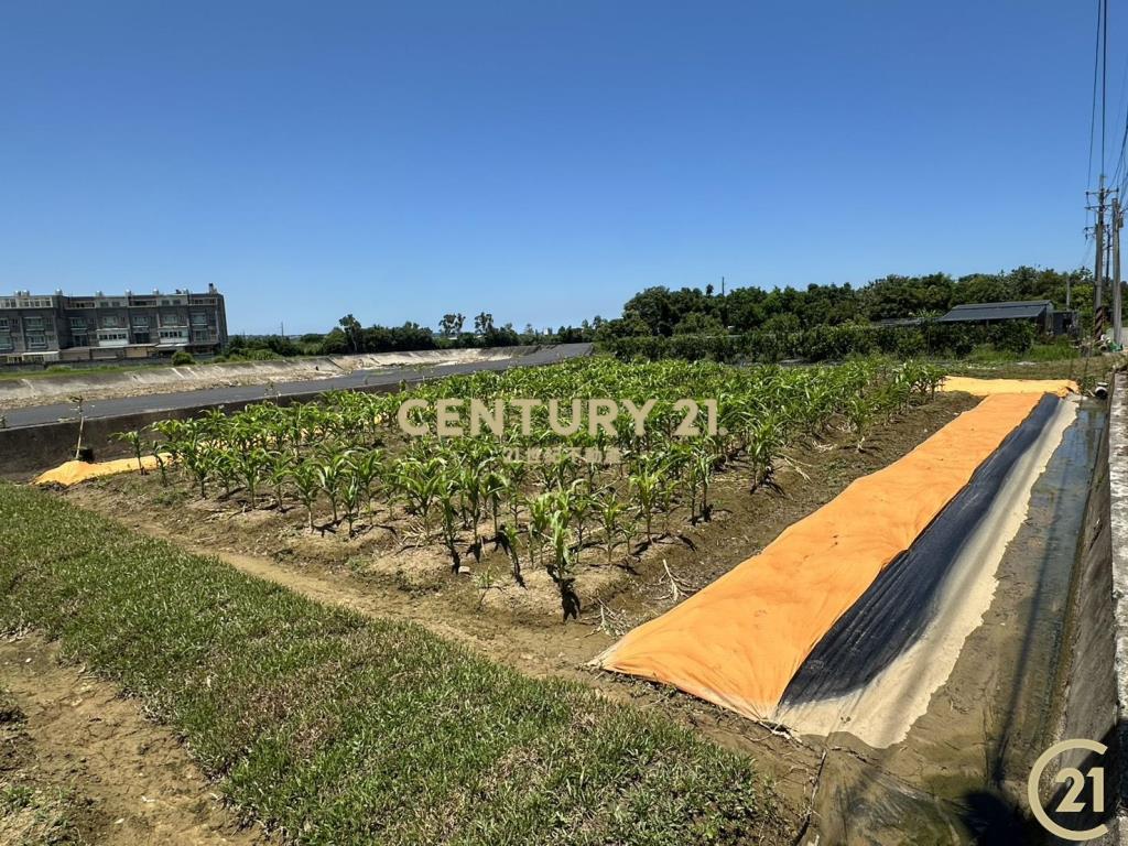 ❤21新豐松林❤新湖溪畔幸福小農地(Ｂ)