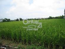 正新湖路田786