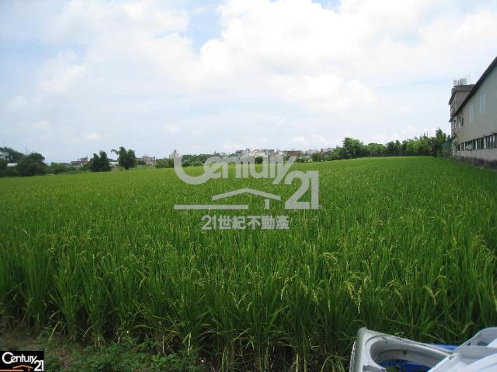 正新湖路田786