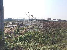 德盛田766坪