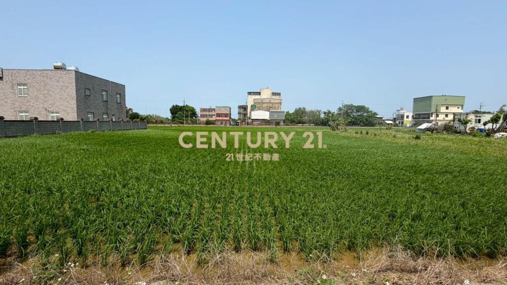 青埔子方正田467坪