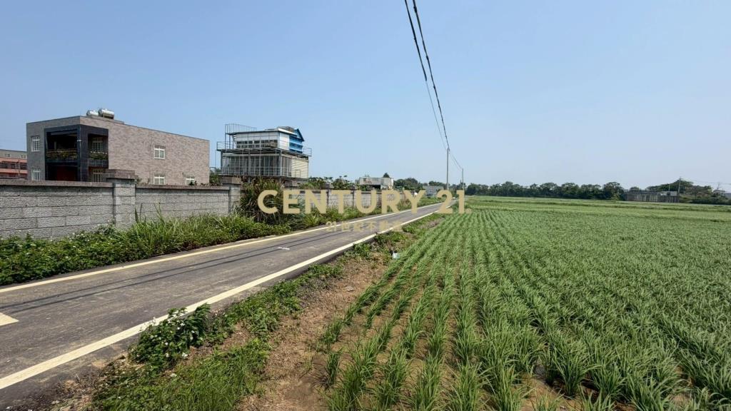 青埔子方正田467坪