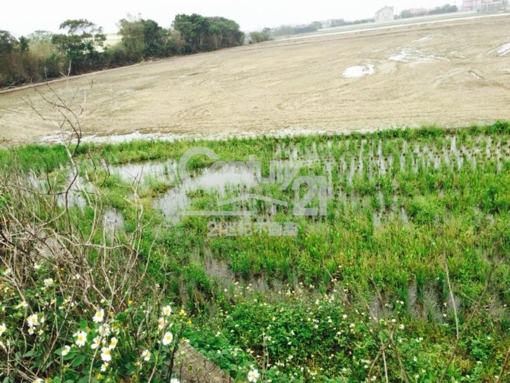 德盛623坪田朝南