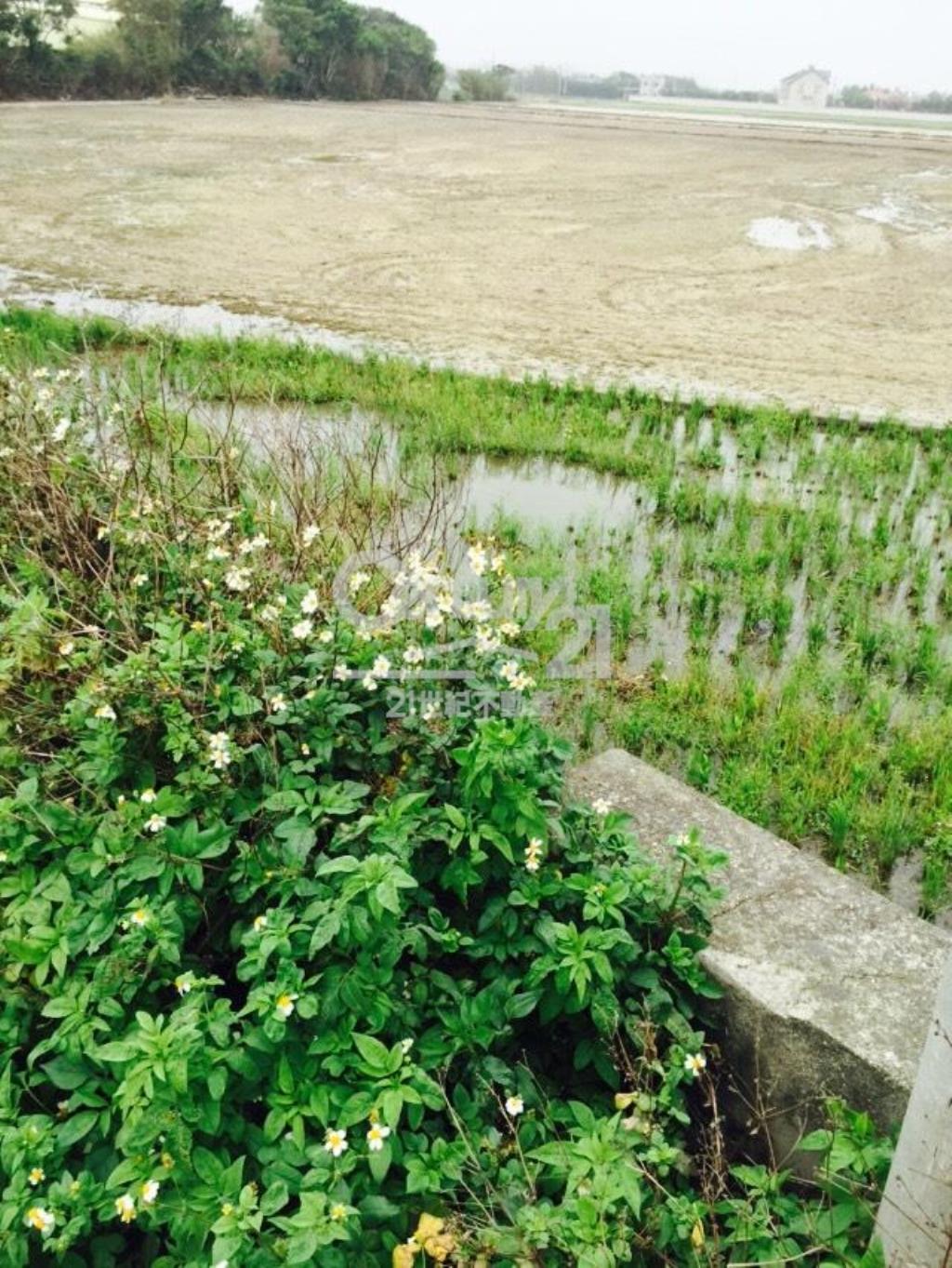 德盛623坪田朝南